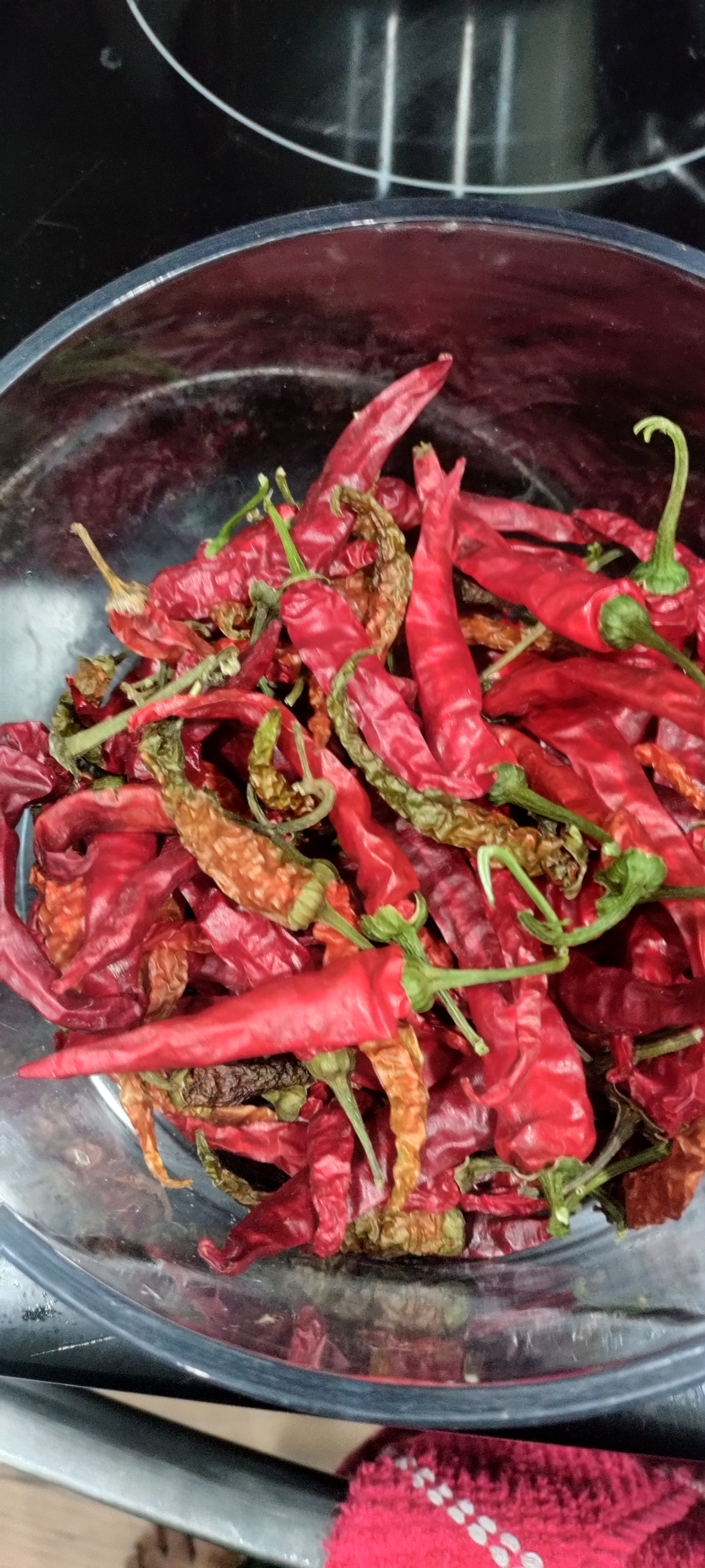 organic urban farming